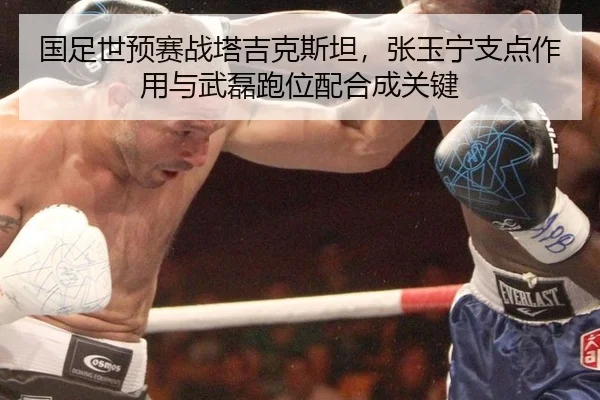 guo-zu-shi-yu-sai-zhan-ta-ji-ke-si-tan-zhang-yu-ning-zhi-dian-zuo-yong-yu-wu-lei-pao-wei-pei-he-cheng-guan-jian-2-969.jpg